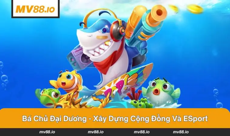 Bản đồ hải trình rộng mở với kho báu ẩn giấu