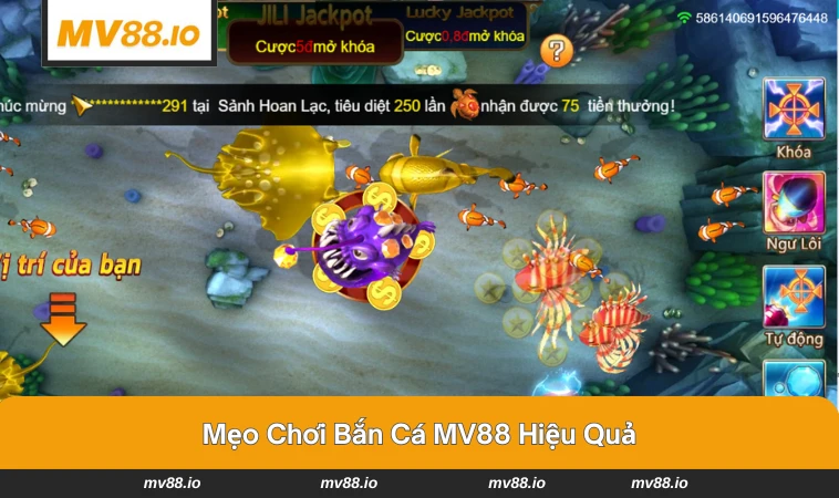 Người chơi tập trung săn cá lớn trong sảnh MV88 để nhận thưởng cao.
