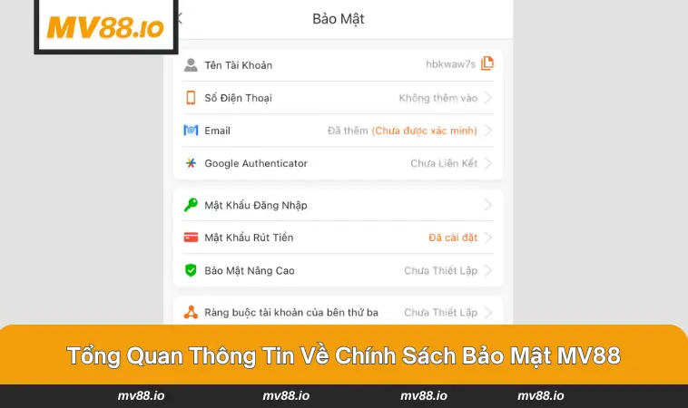 Tổng quan đôi điều về chính sách bảo mật MV88