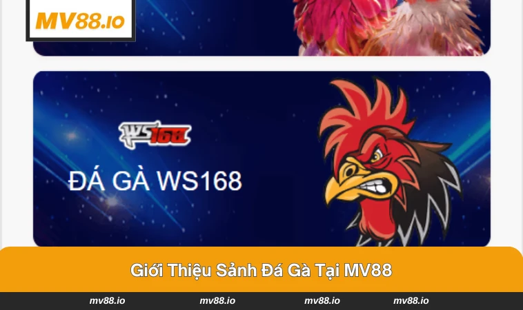 Giao diện sảnh đá gà trực tuyến tại MV88.