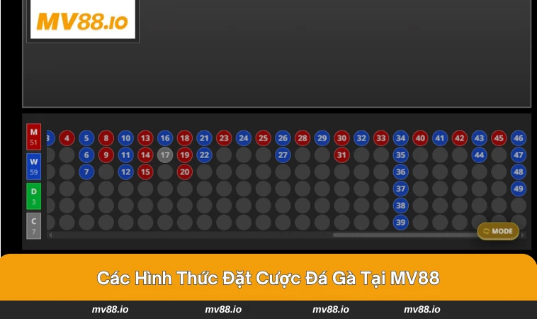 Các hình thức đặt cược đa dạng trong đá gà MV88.