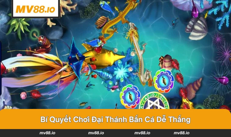 Người chơi tập trung bắn vào cá lớn để tối ưu điểm thưởng.