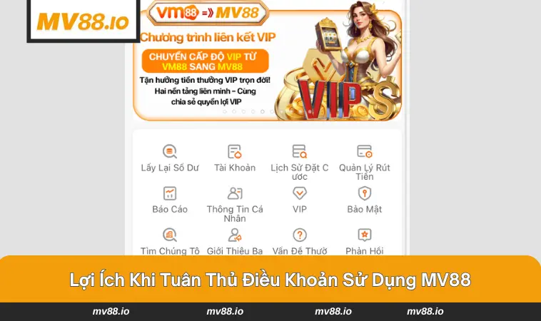 Lợi ích đặc biệt khi tuân thủ đúng quy định của MV88