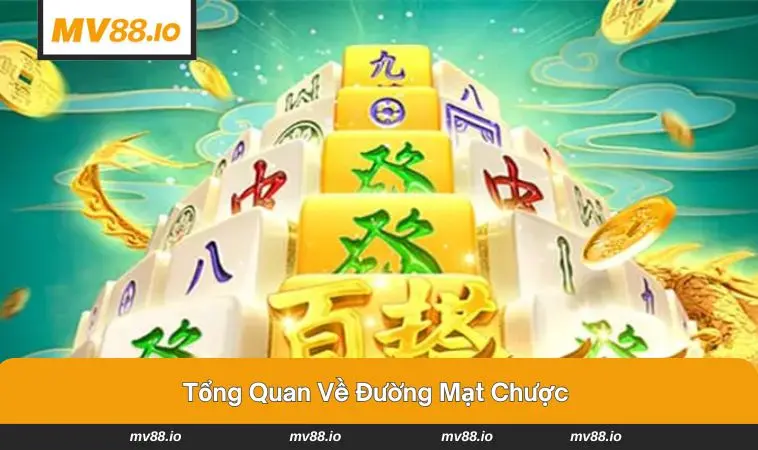 Bàn tay người chơi sắp xếp quân bài mạt chược ngay ngắn 