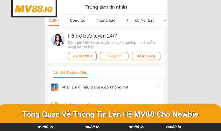 Các thông tin quan trọng khi liên hệ MV88