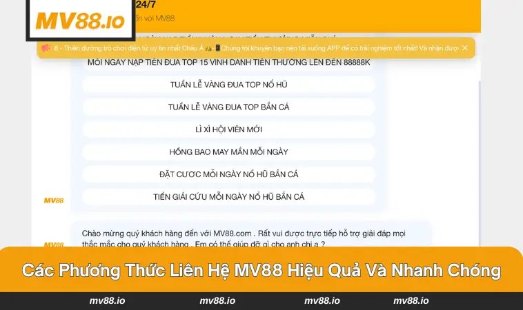 Chi tiết các kênh liên lạc phổ biến nhất tại MV88